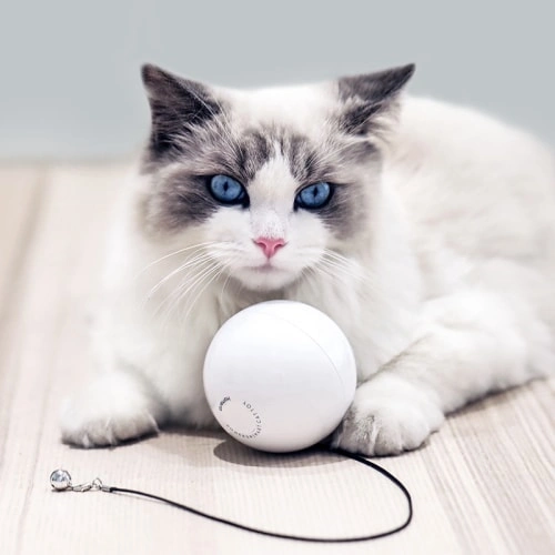 1cat led ball- front page